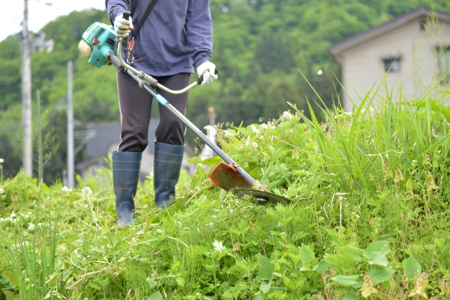 富津市で草刈りに最適な年3回の時期～楽に草刈りを終えるコツまで徹底解説