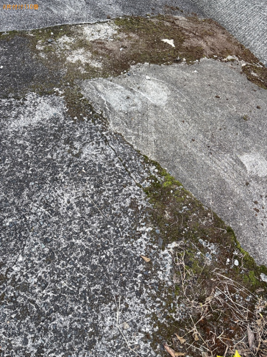 五月人形、日本人形、ぬいぐるみ、くし、鏡、ガラスケース等の回収